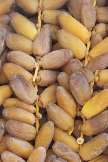 La Kamilia=Deglet Nour full branchée 1ér Choix 